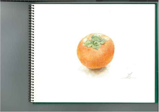 Maruman VifArt Watercolor Artbook- Premium Medium Watercolor Paper, Natural White, F4, 13.5" x 10.35", 15 Sheets/ 30 Pages, Reinforced Cover Sketchbook for Watercolor & Mixed Media, Green