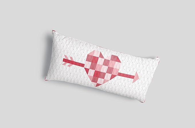 Riley Blake Quilt Project of The Month Kit: Easy DIY Designs for Every Season, for Quilting, Apparel, Crafting, and Home Decor (Bench Pillow - February)