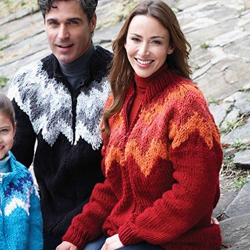 Bernat Softee Chunky Solid Yarn Bundle Super Bulky #6, 3 Skeins Pumpkin 28630