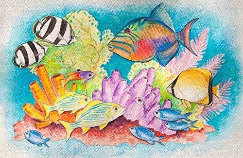 color swell bulk 8 color watercolors with wood brushes - 4 packs