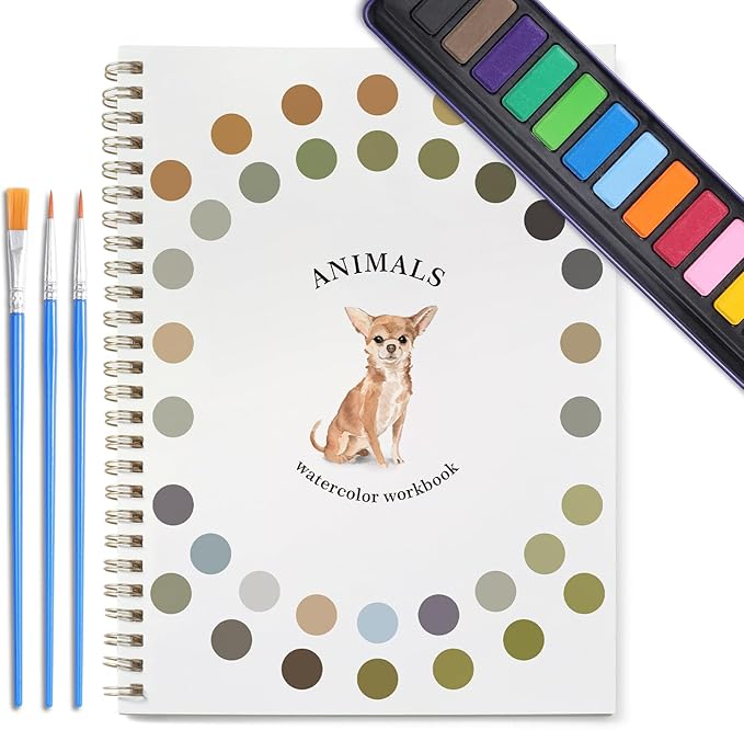 Dancart Watercolor Kit with Outlines, Watercolor Book with 12 Colors Rustproof Box, 3 Brushes & Multi-Theme Painting Kit for Teens & Adults