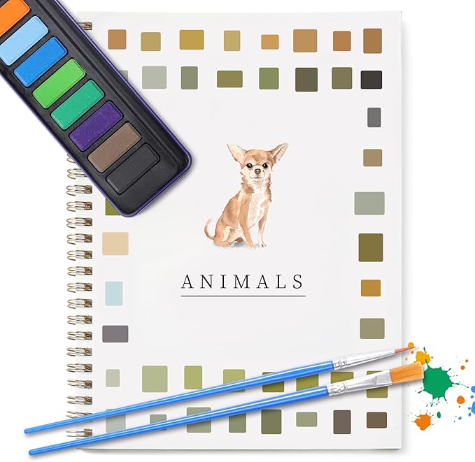 Dancart Watercolor Kit with Outlines, 12 Colors Rustproof Box, 3 Brushes & Multi-Theme Painting Kit for Teens & Adults