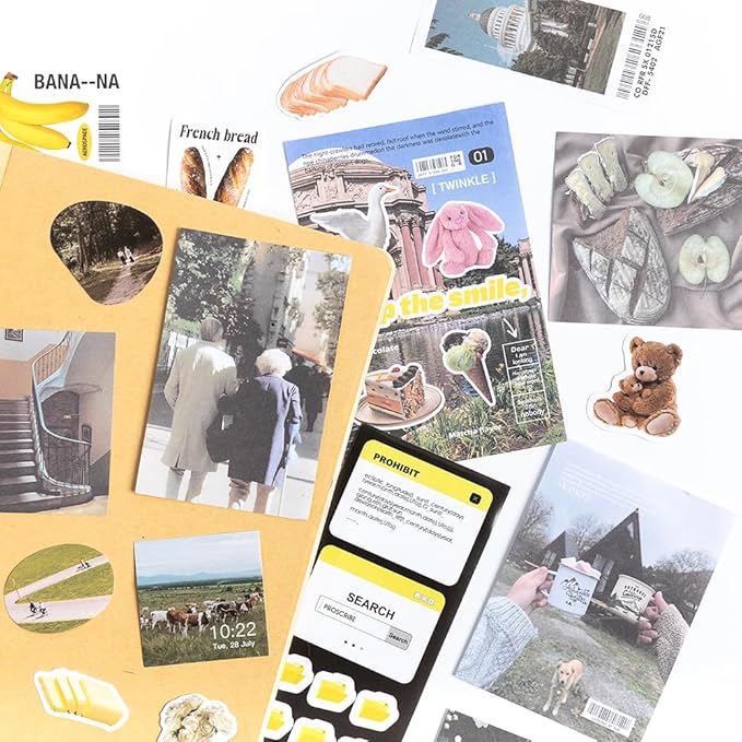 Alideco 200pcs Vintage Scrapbook Supplies Pack for Art Journaling Bullet Junk Journal Planners DIY Paper Stickers Craft Kits Notebook Collage Album Aesthetic Cottagecore Picture Frames (jijingxingxi)