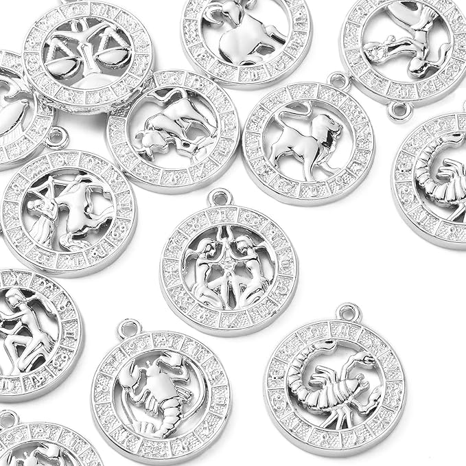 DanLingJewelry 24Pcs Tibetan Zodiac Charms Twelve Constellation Sign Horoscope for Jewelry Making DIY, FIND-CJC0017-13P-CHH