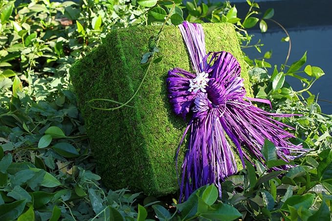 SuperMoss (40509) Raffia Craft Kit - Christmas, Jewel (Burgundy, Wine, Purple, Navy, X-mas Green), 16 cu in. (5 Pack)
