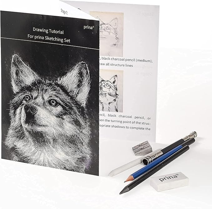 Prina 50 Pack Drawing Set Sketch Kit, Sketching Supplies with 3-Color Sketchbook, Graphite, and Charcoal Pencils, Pro Art Drawing Kit for Artists Adults Teens Beginner Kid, Ideal for Shading, Blending