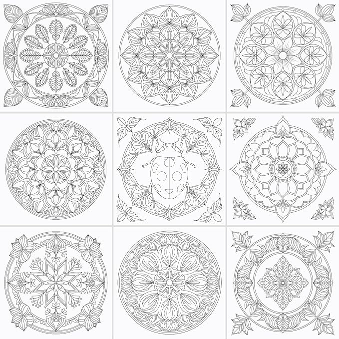 FUN LAVIE Adult Coloring Book - Mandala Coloring Books for Adults Relaxation and Teens Stress Relief, Featuring Large Print Mandalas Insect & Bloom Patterns for Women Mindfulness, Spiral Bound