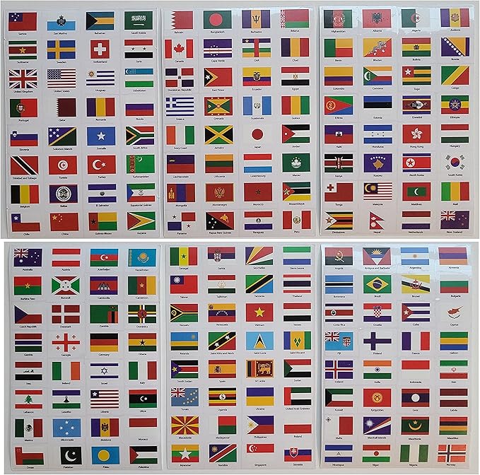 SJPRINTER Blank Passport Notebook | Pretend Passports | School Projects, Party favors, airplane toy, travel journal, geography, classroom social study (6Passports_6SetsFlags)