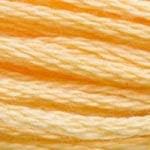 DMC Floss - 3855 Light Autumn Gold