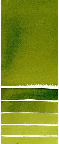 Daniel Smith Extra Fine Watercolor Paint, 5ml Tube, Sap Green, 284610102, 0.17 Fl Oz (Pack of 1)