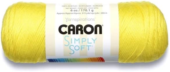 Caron Simply Soft Yarn Assortment (Neon)