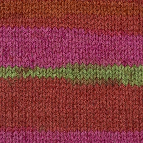 Patons Kroy Socks Yarn 2-Pack Bundle with Bella's Crafts Stitch Markers (Dad's Jacquard)