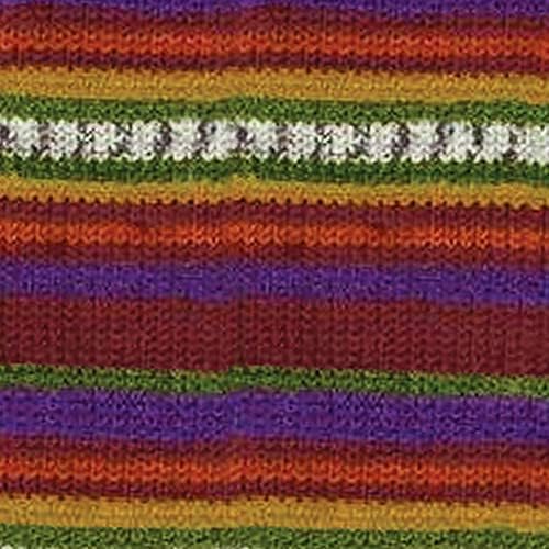 Patons Kroy Socks Yarn 2-Pack Bundle with Bella's Crafts Stitch Markers (Dad's Jacquard)