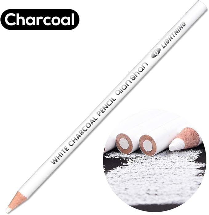 qianshan 2 Pcs Black White Color Charcoal Pencils, Professional Hight Quality Sketch Highlight Charcoal Wooden Pencils for Artist Drawing, Sketching, Blending, 2 Colors of 1 Black, 1White