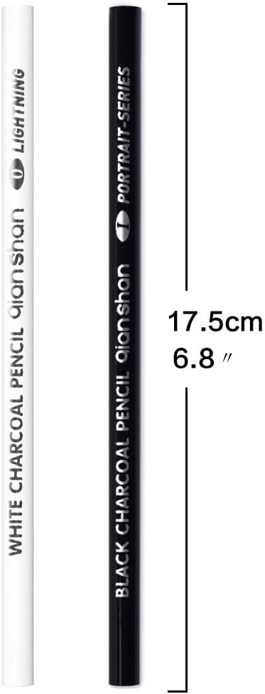 qianshan 2 Pcs Black White Color Charcoal Pencils, Professional Hight Quality Sketch Highlight Charcoal Wooden Pencils for Artist Drawing, Sketching, Blending, 2 Colors of 1 Black, 1White