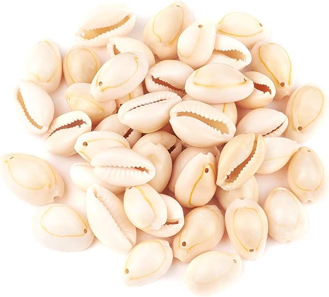 Cheriswelry 50pcs White Natural Spiral Shell Beads Sea Shells Beach Spacer Beads Charms Cowrie Shells Loose Beads 17~22mm 1mm Hole for Summer DIY Earring Bracelet Necklace Jewelry Making