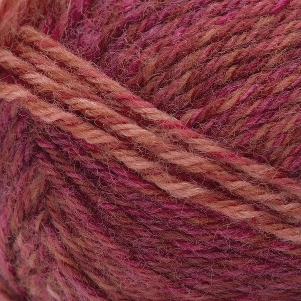 Patons Kroy Socks FX Yarn 2-Pack Bundle with Bella's Crafts Stitch Markers (Geranium Colors)