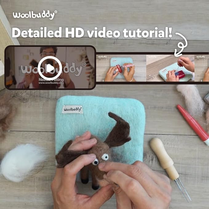 Woolbuddy 𝗡𝗲𝗲𝗱𝗹𝗲 𝗙𝗲𝗹𝘁𝗶𝗻𝗴 𝗞𝗶𝘁 – DIY Animal Craft Set for Beginners with Core Wool, Felting Supplies, Tools & Instructions – Fun Creative Kit for Adults (Frog)