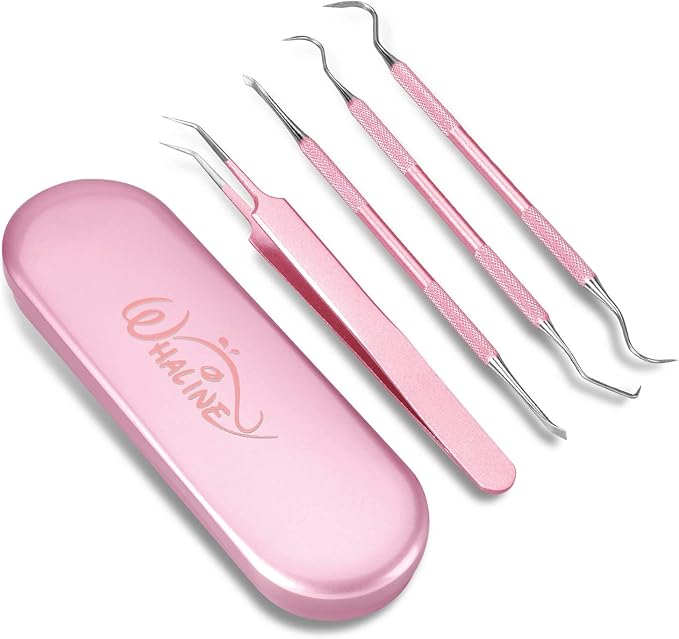 Whaline Weeding Vinyl Tools 4 Pieces Precision Stainless Steel Weeder Tool with Case, Vinyl Craft Paper Craft Tool Kit for Silhouettes Cameos, Lettering Scraper Hook Spatula Tweezers