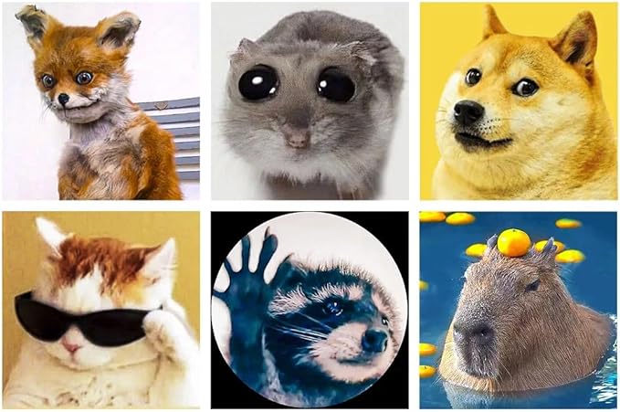 LuwoArte 6 Pack Diamond Painting Kits for Adults – Funny Meme Animals – Full Drill DIY Paint Gem Art for Adults – Brilliant 5D Diamond Painting Kit – Relaxing Craft for Home Wall Décor