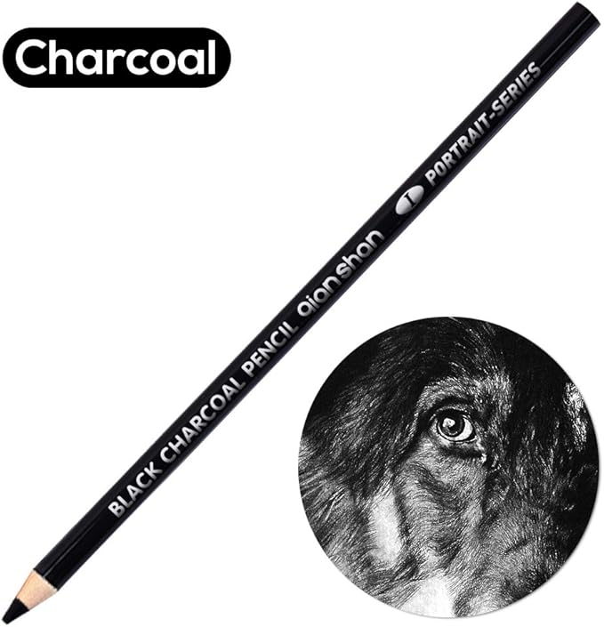 qianshan 2 Pcs Black White Color Charcoal Pencils, Professional Hight Quality Sketch Highlight Charcoal Wooden Pencils for Artist Drawing, Sketching, Blending, 2 Colors of 1 Black, 1White