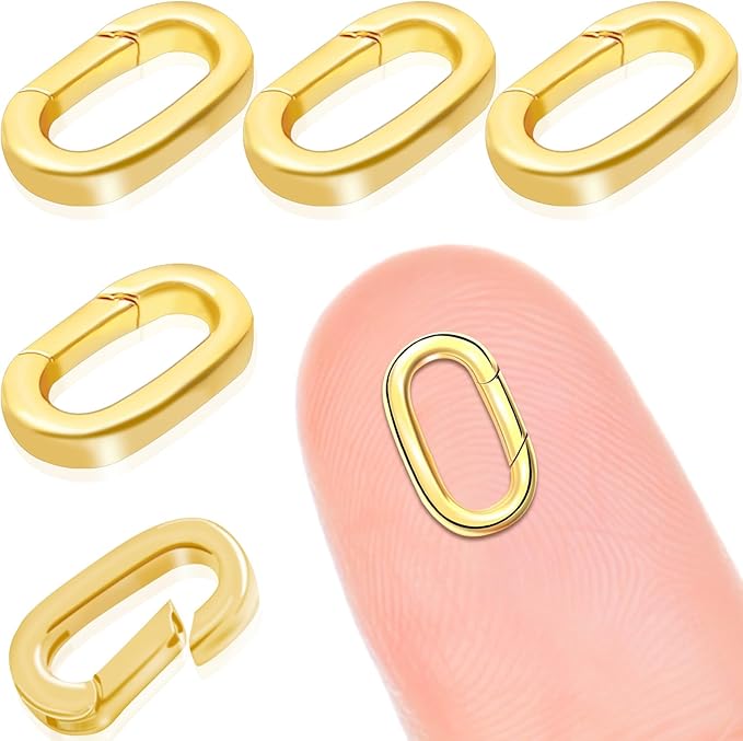 5PCS Oval Clasp Carabiner Necklace Connector Stainless Steel Spring Clasps Bracelet Closures Keychain Lock Clasps Necklaces Clips Key Rings Bracelets Shortener for Jewelry Finding DIY Making Kit (A6)