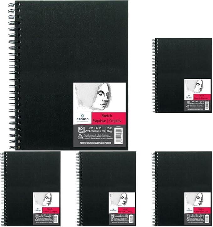 Canson Artist Series Sketch Book Paper Pad, for Pencil and Charcoal, Acid Free, Wire Bound, 65 Pound, 9 x 12 Inch, 80 Sheets (Pack of 5)