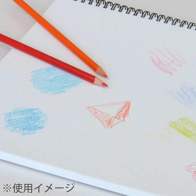 Maruman Sketchbook B4 Design Series, Drawing Paper, Normal Door, 24 Sheets S120X50, 50 Sheets