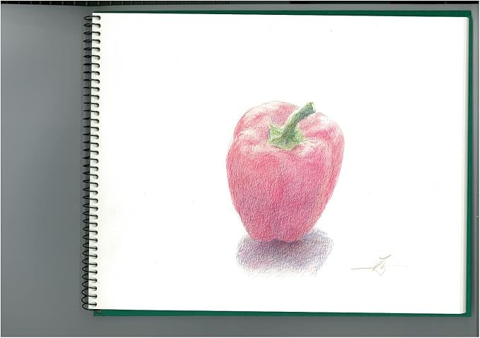 Maruman Sketch Book F0 Vifar Watercolor Paper, Medium Grade, 15 Sheets S20VA