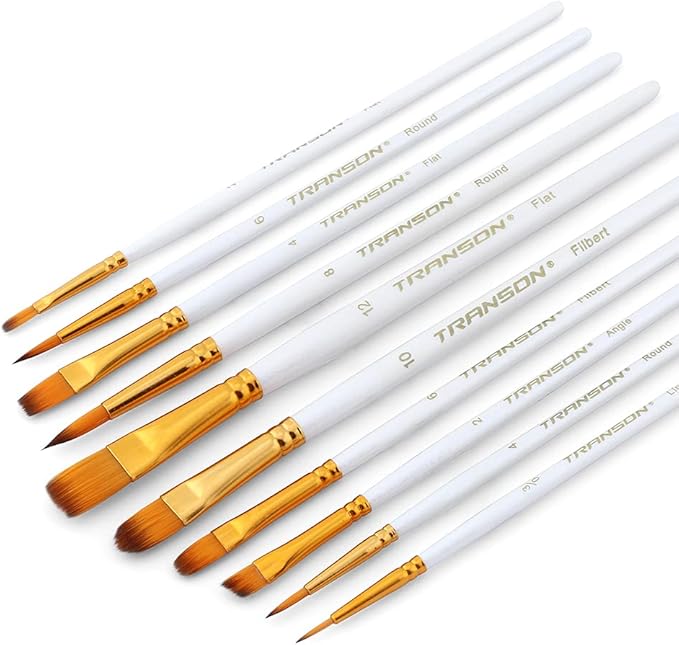 Transon 20pcs Artist Painting Brush Set for Acrylic Watercolor Gouache Hobby Craft Face Rock Painting Black and White Color