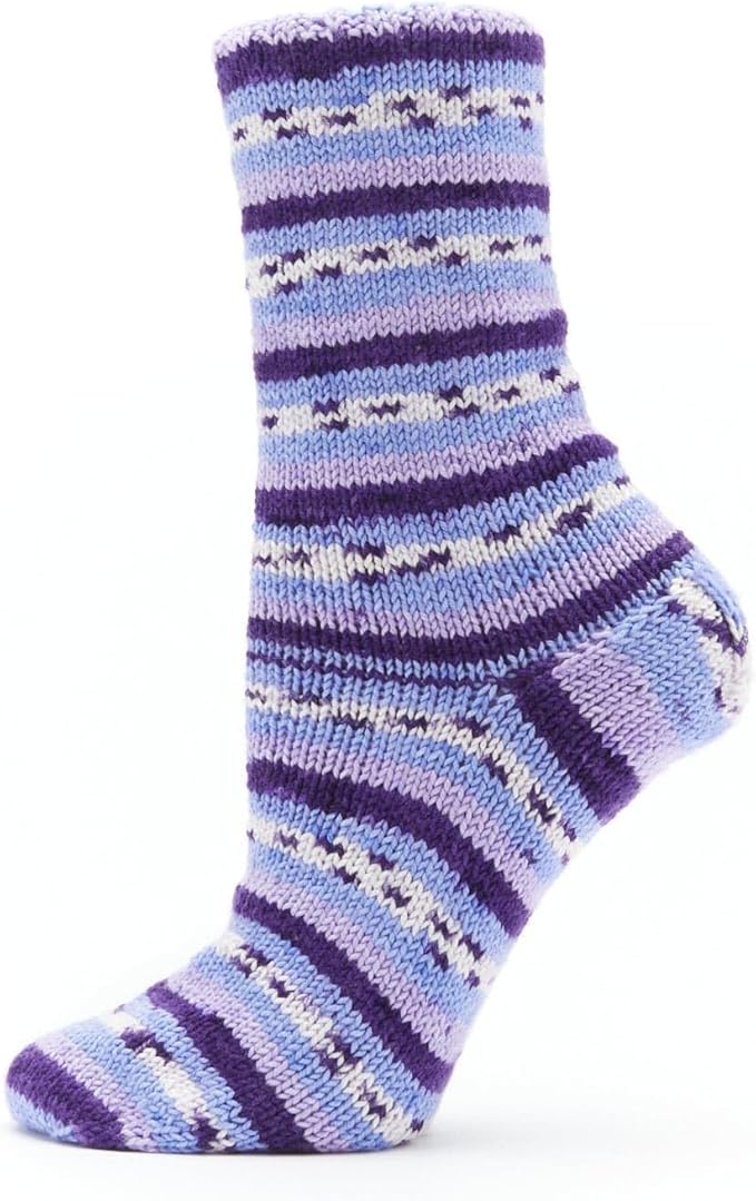 Premier Yarns Fruits, Acrylic Sock Yarn, 2-Pack Bundled with Bella's Crafts Stitch Markers (Grape)