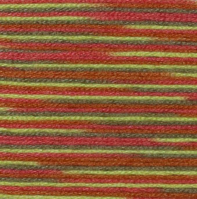 KCS Big skeins of 25 Meters Size 25 Color Variegated Cross Stitch Stranded Threads,6 skeins,4510