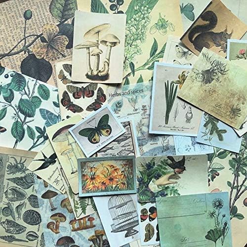 DESEACO Vintage Aesthetic Posters for Wall Decor, Green Botanical Art for Teen Girls’ Rooms, Cute Plant Journaling Supplies and Nature-Inspired Collage Kit