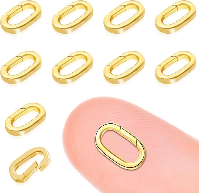 10PCS Oval Clasp Carabiner Necklace Connector Stainless Steel Spring Clasps Bracelet Closures Keychain Lock Clasps Necklaces Clips Key Ring Bracelets Shortener for Jewelry Finding DIY Making Kit (A14)