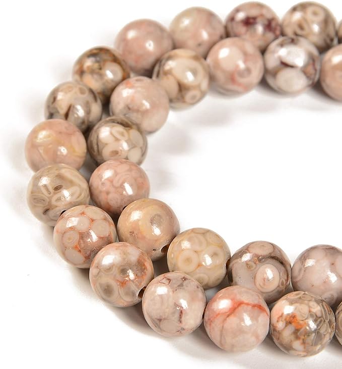 90pcs 4mm Natural Flowery Cowry Fossil Gemstone Round Spacer Loose Stone Beads for Jewelry Making 15.5" 1 Strand (Flowery Cowry Fossil, 4mm 90Beads)