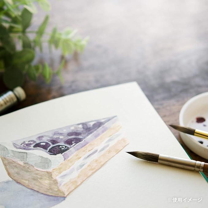 Maruman S21VA Sketchbook SM Vihual Watercolor Paper Medium 15 Sheets