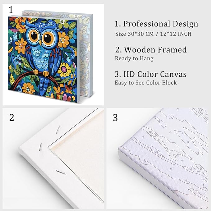 Natuyalo Framed Paint by Number Kit for Adults - Colorful Owl Easy Paint by Numbers Kit for Adults Beginner, Animals Simple Painting by Numbers Gift for Home Wall Decor (12x12 Inch)