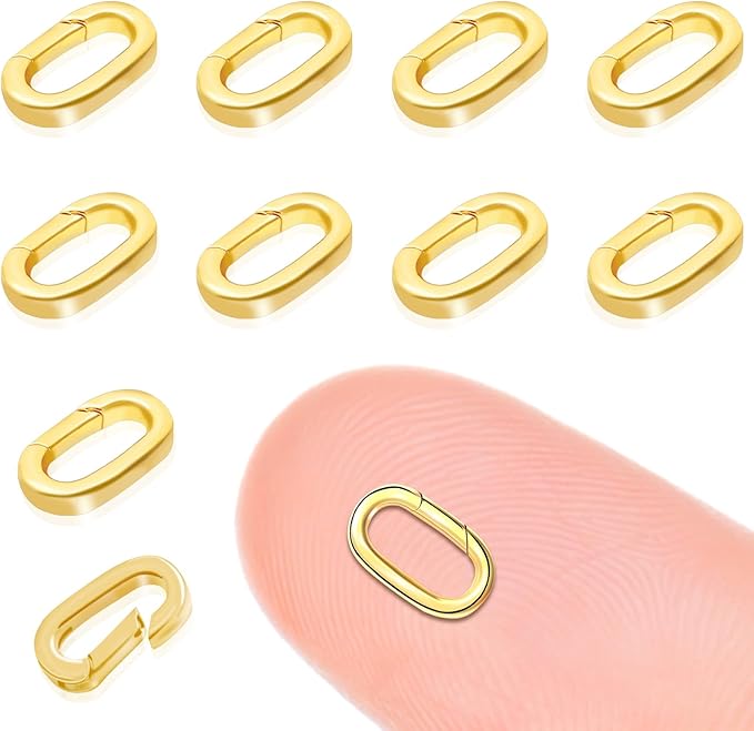 10PCS Oval Clasp Carabiner Necklace Connector Stainless Steel Spring Lock Clasps Bracelet Closures Keychain Necklaces Clips Key Ring Bracelets Shortener for Jewelry Finding DIY Making Kit (A13)