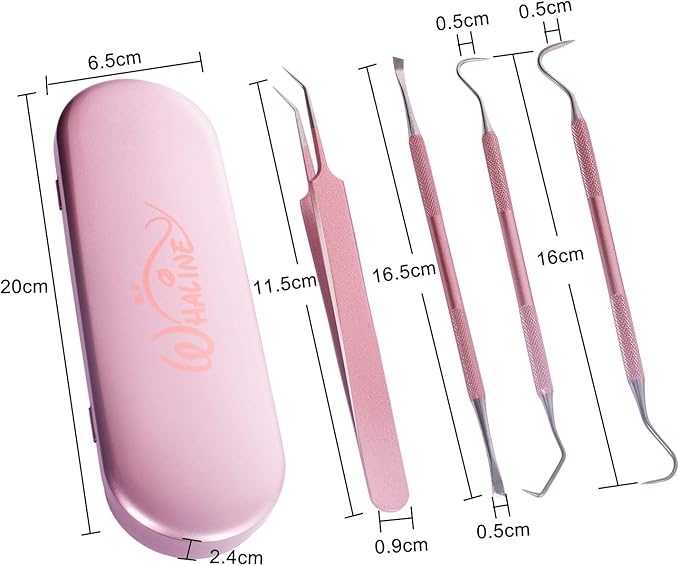 Whaline Weeding Vinyl Tools 4 Pieces Precision Stainless Steel Weeder Tool with Case, Vinyl Craft Paper Craft Tool Kit for Silhouettes Cameos, Lettering Scraper Hook Spatula Tweezers