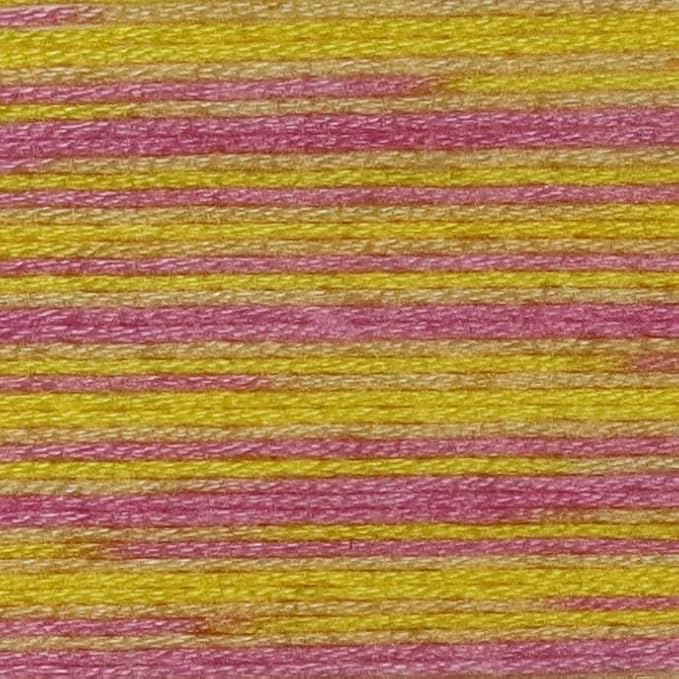 KCS Big skeins of 25 Meters Size 25 Color Variegated Cross Stitch Stranded Threads,6 skeins,4100
