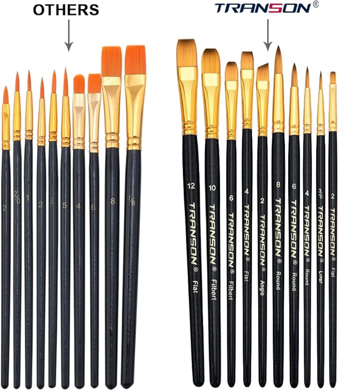 Transon 20pcs Artist Painting Brush Set for Acrylic Watercolor Gouache Hobby Craft Face Rock Painting Black and White Color