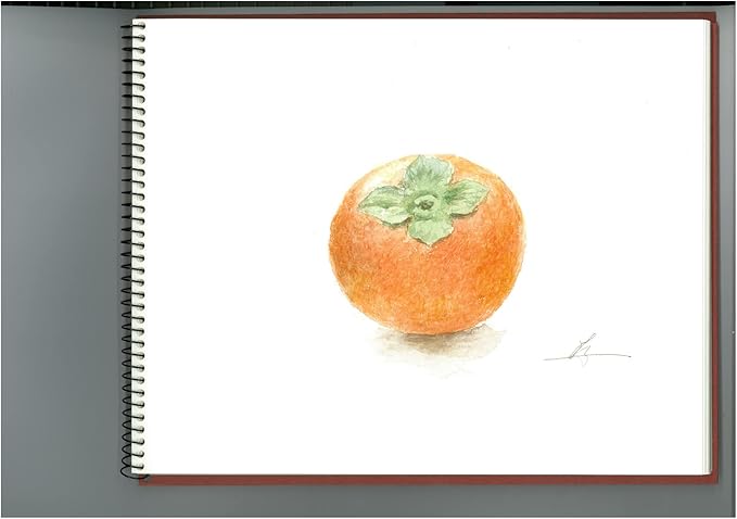 Maruman S11VA Sketchbook Vifal Watercolor Paper SM Rough