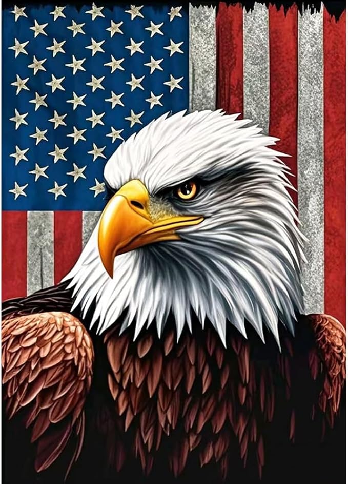 hill froeistung Eagle Diamond Art Painting Kits for Adults,Flag Diamond Art for Beginners, 5D DIY Full Drill Round Gem Art Craft Home Wall Decor Gift 12x16 inch,Bird
