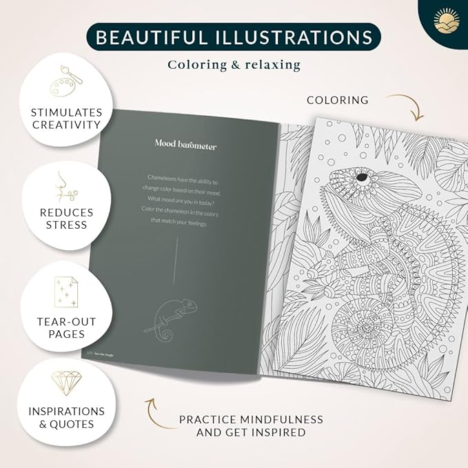 Coloring Books for Adults Relaxation by Mindmellow – Stress Relief Coloring Book for Adults & Teens - Calming Designs to Inspire Creativity and Mindfulness - Coloring Books for Teens (XXL)