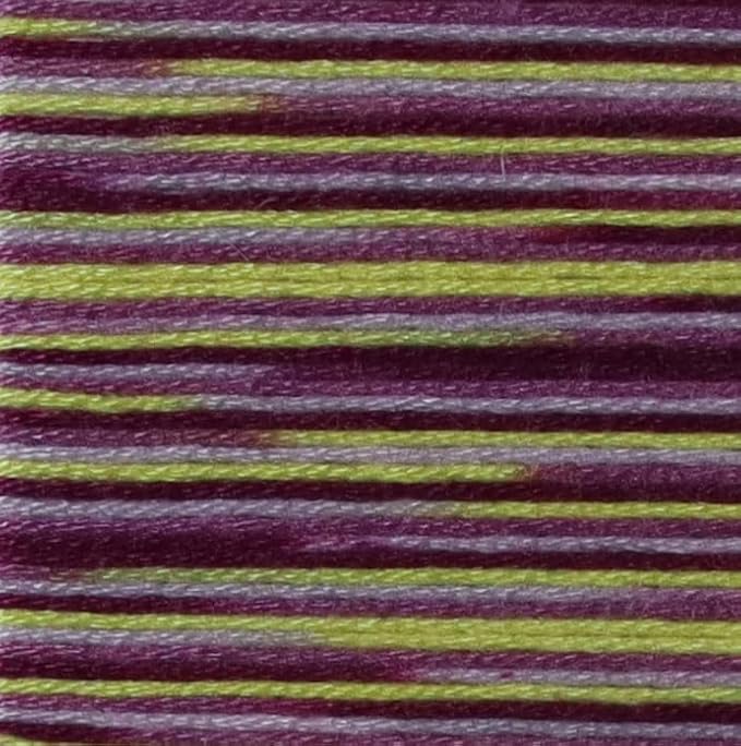 KCS Big skeins of 25 Meters Size 25 Color Variegated Cross Stitch Stranded Threads,6 skeins,4503