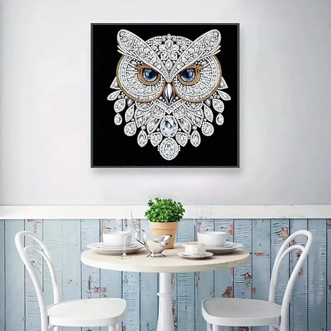 GEMFAMILY Owl Diamond Painting Kits for Adults,5D Diamond Art Kits for Special Shape,DIY Crystal Rhinestones Diamond Dots Gem Art Craft for Home Decor 11.8 x 11.8 inch