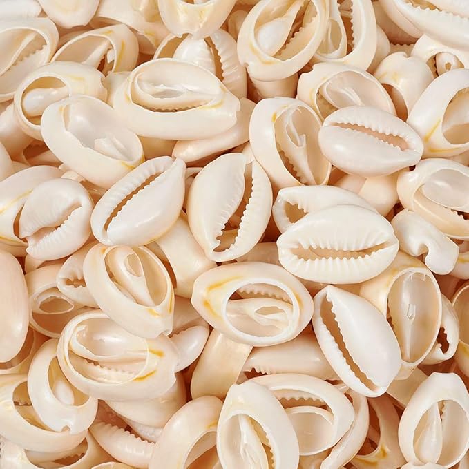 Cheriswelry 340pcs/500g Cowrie Shell Beads Natural Spiral Seashell Beach Shell Loose Spacer Beads Smooth Cut Cowrie Charms for DIY Bracelet Jewelry Making Vase Filler Fish Tanks Decor 18~20mm