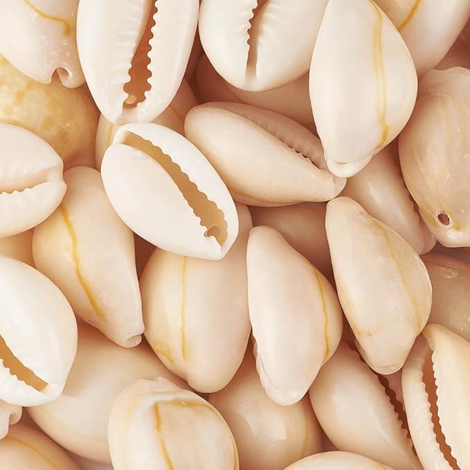 Cheriswelry 50pcs White Natural Spiral Shell Beads Sea Shells Beach Spacer Beads Charms Cowrie Shells Loose Beads 17~22mm 1mm Hole for Summer DIY Earring Bracelet Necklace Jewelry Making