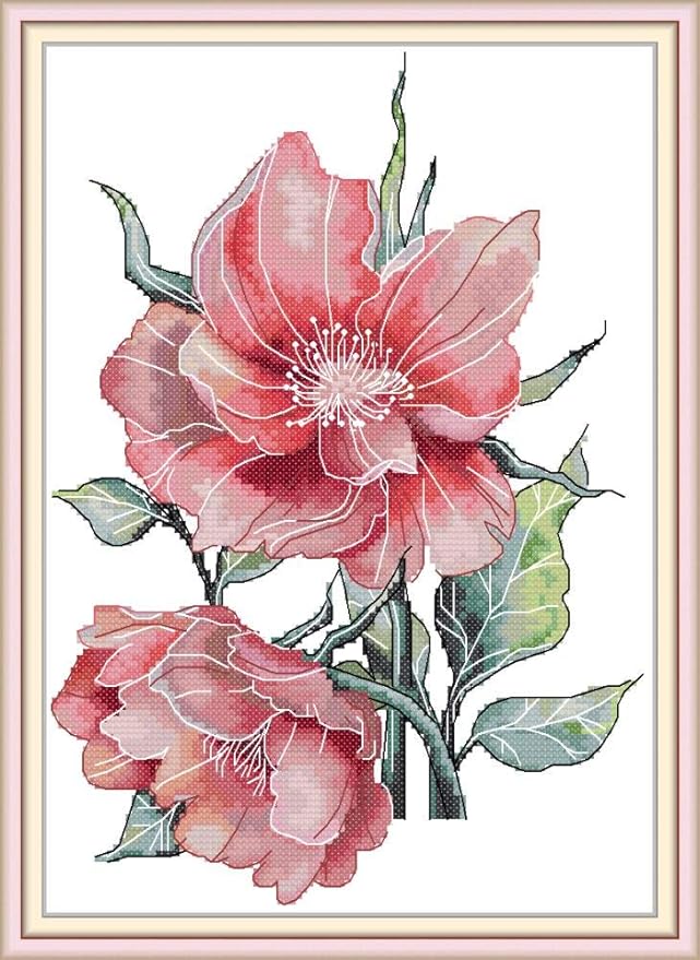CaptainCrafts Cross Stitch Kits, New Stamped Kit Printed 11CT Fabric Cross Stitching DIY Art DMC Needlecrafts Embroidery Kit for Adults Beginner (Stamped, Two Peonies)