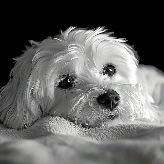 mrpwnle Dog Diamond Art Kits for Adults, White Cute Dog Diamond Painting Kits for Adults, 5D Diamonds Painting Kit, DIY Full Round Drill Gem Art Crafts Kit, Home Wall Decor Gifts 11.8x11.8inch